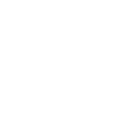 Team member photo